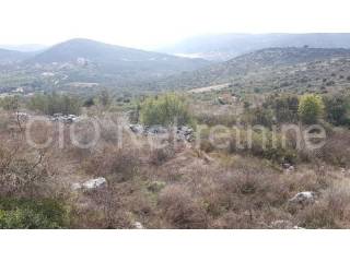 Agricultural plot, Sale, Marina, Marina