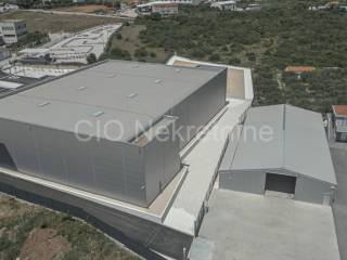 Hall, Rent, Trogir, Trogir
