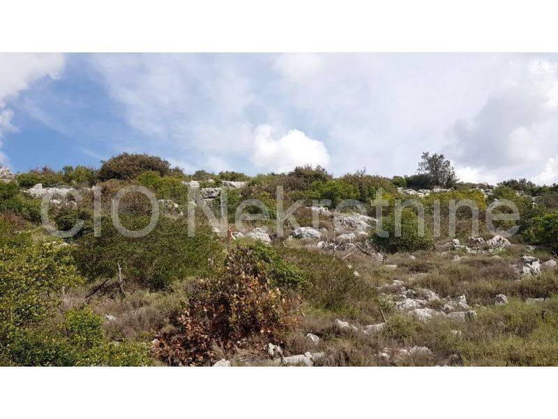Agricultural plot, Sale, Marina, Marina