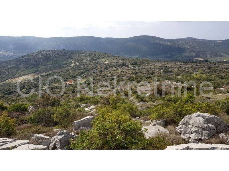 Agricultural plot, Sale, Marina, Marina
