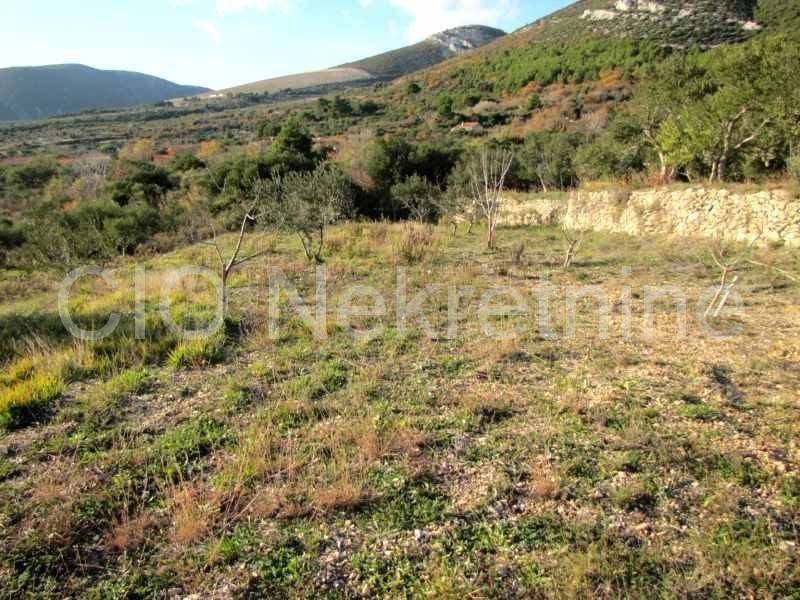 Agricultural plot, Sale, Kaštela, Kaštel Stari