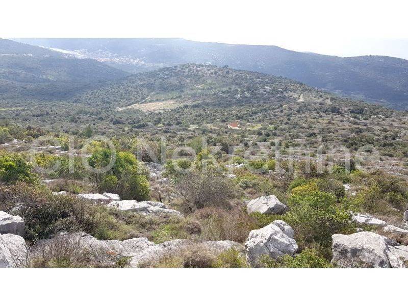 Agricultural plot, Sale, Marina, Marina