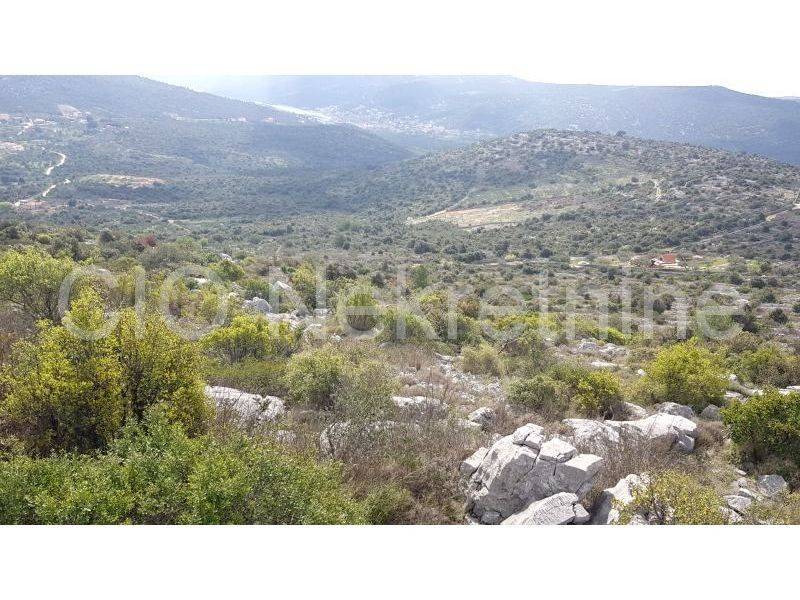 Agricultural plot, Sale, Marina, Marina