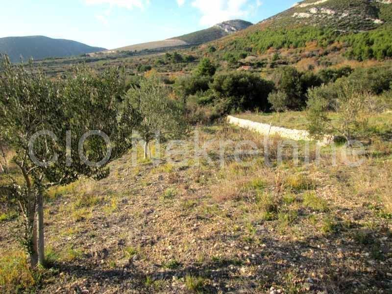 Agricultural plot, Sale, Kaštela, Kaštel Stari