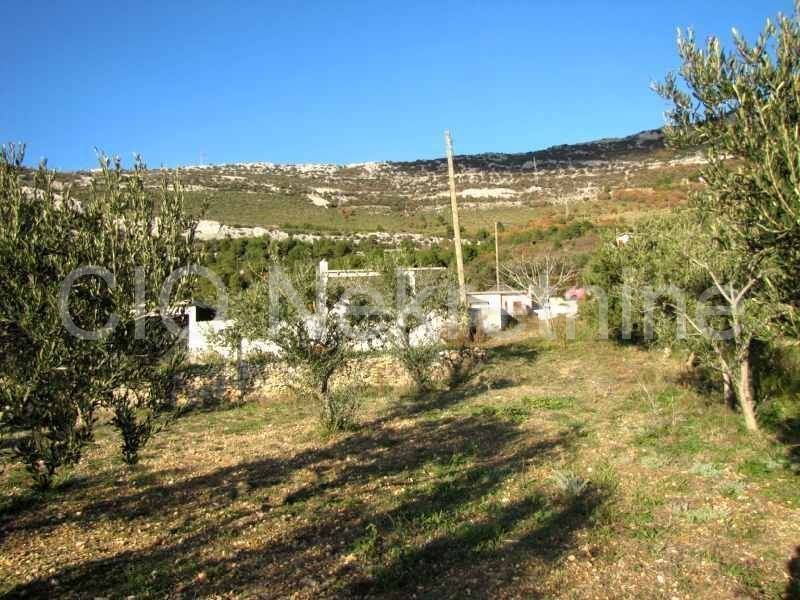 Agricultural plot, Sale, Kaštela, Kaštel Stari