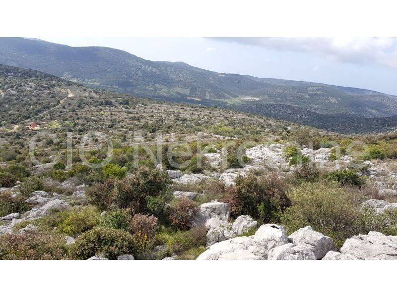 Agricultural plot, Sale, Marina, Marina