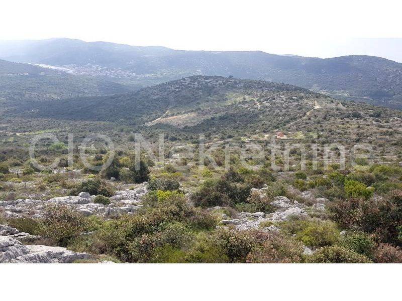 Agricultural plot, Sale, Marina, Marina
