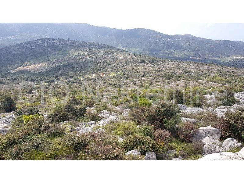 Agricultural plot, Sale, Marina, Marina