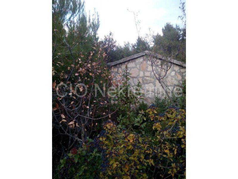 Agricultural plot, Sale, Supetar, Splitska