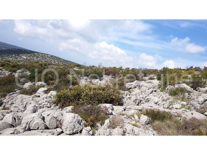 Agricultural plot, Sale, Marina, Marina