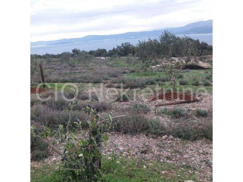 Agricultural plot, Sale, Supetar, Supetar