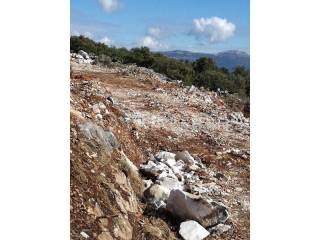 Agricultural plot, Sale, Trogir, Trogir