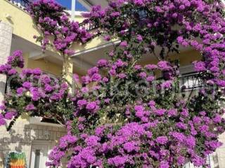 Luxury house, Sale, Seget, Seget Vranjica