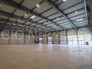 Hall, Rent, Trogir, Trogir