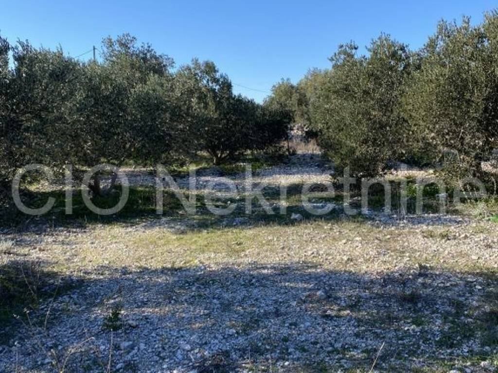Construction plot for commercial properties, Sale, Marina, Vrsine