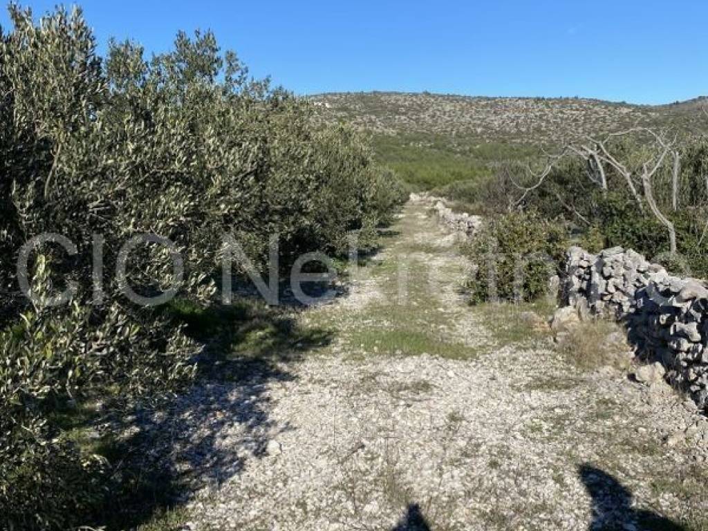 Construction plot for commercial properties, Sale, Marina, Vrsine