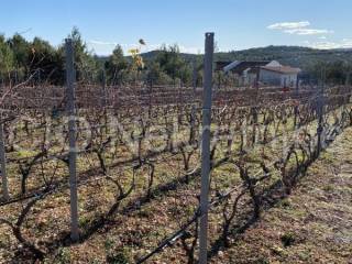Land mix, Sale, Marina, Vrsine