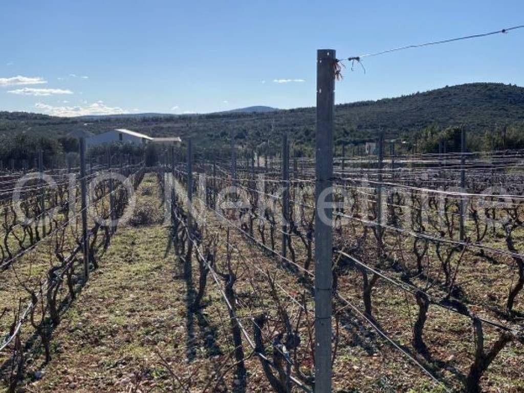 Land mix, Sale, Marina, Vrsine