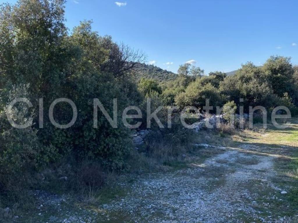 Agricultural plot, Sale, Marina, Vrsine