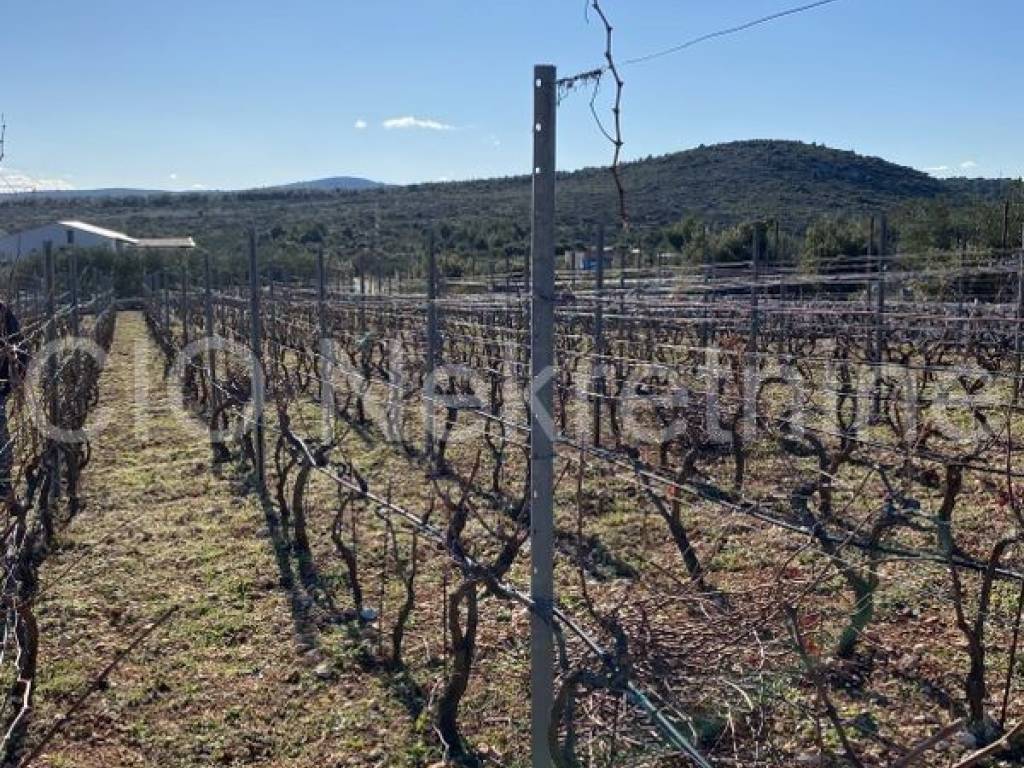 Land mix, Sale, Marina, Vrsine