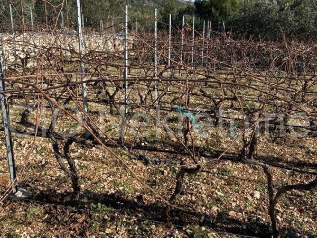 Land mix, Sale, Marina, Vrsine