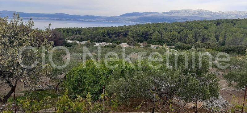 Agricultural plot, Sale, Supetar, Supetar
