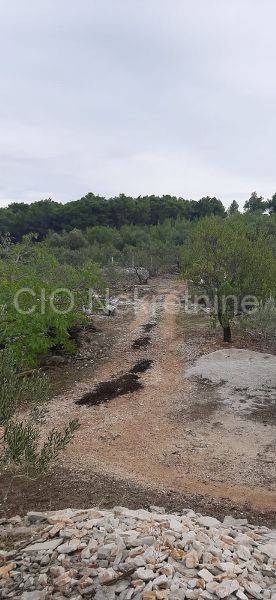 Agricultural plot, Sale, Supetar, Supetar