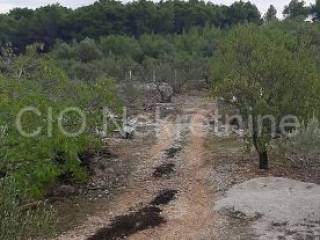 Agricultural plot, Sale, Supetar, Supetar