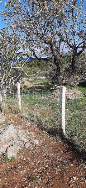 Agricultural plot, Sale, Supetar, Supetar