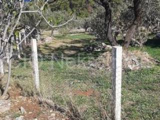 Agricultural plot, Sale, Supetar, Supetar