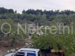 Agricultural plot, Sale, Supetar, Supetar