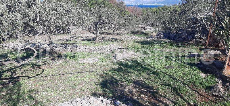 Agricultural plot, Sale, Supetar, Supetar
