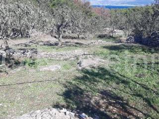 Agricultural plot, Sale, Supetar, Supetar