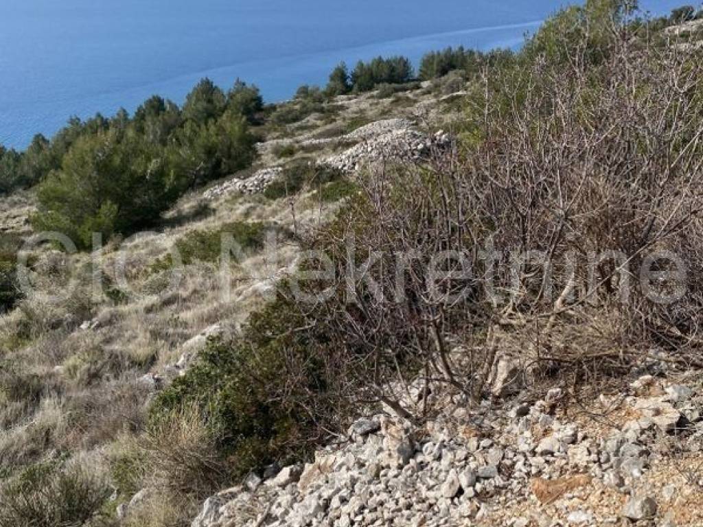 Agricultural plot, Sale, Bol, Bol