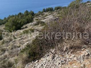 Agricultural plot, Sale, Bol, Bol