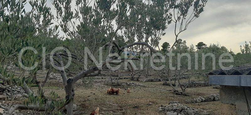 Agricultural plot, Sale, Supetar, Supetar