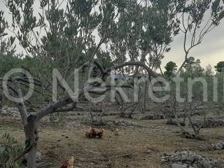 Agricultural plot, Sale, Supetar, Supetar
