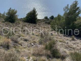 Agricultural plot, Sale, Bol, Bol