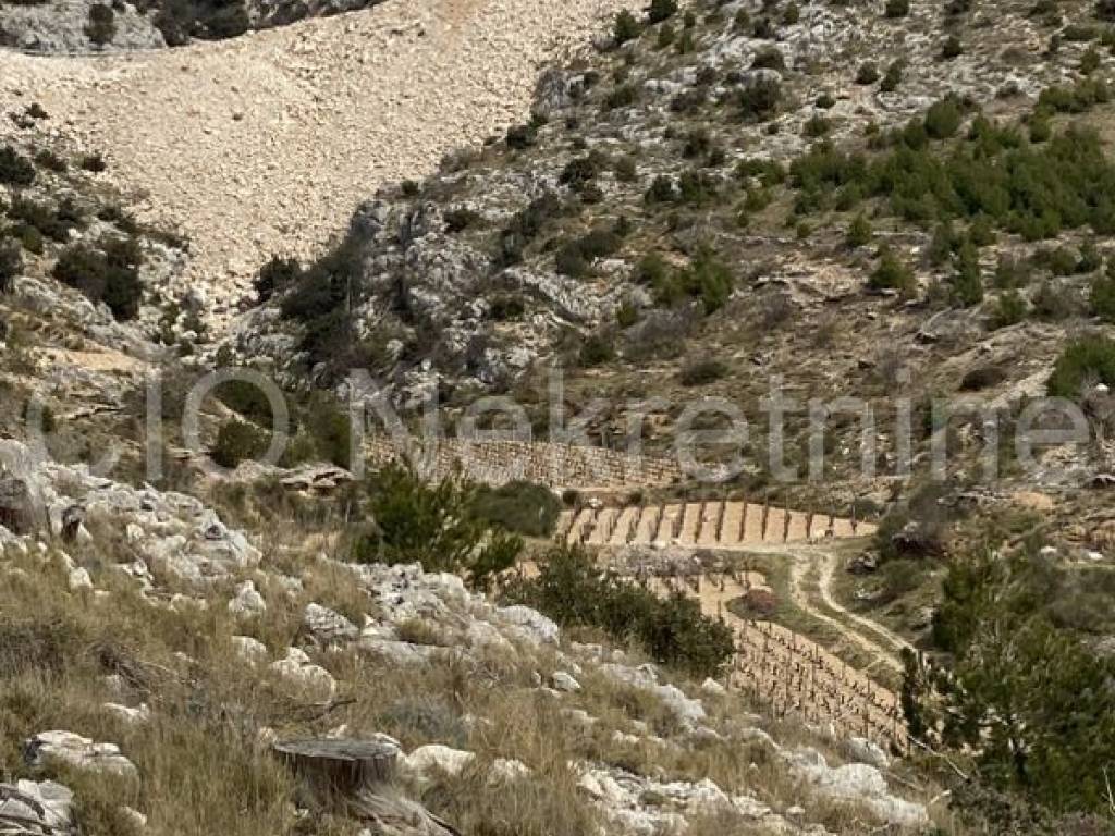 Agricultural plot, Sale, Nerežišća, Nerežišća