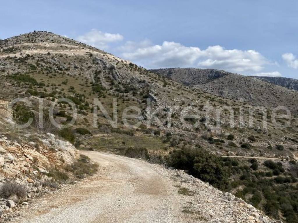 Agricultural plot, Sale, Nerežišća, Nerežišća