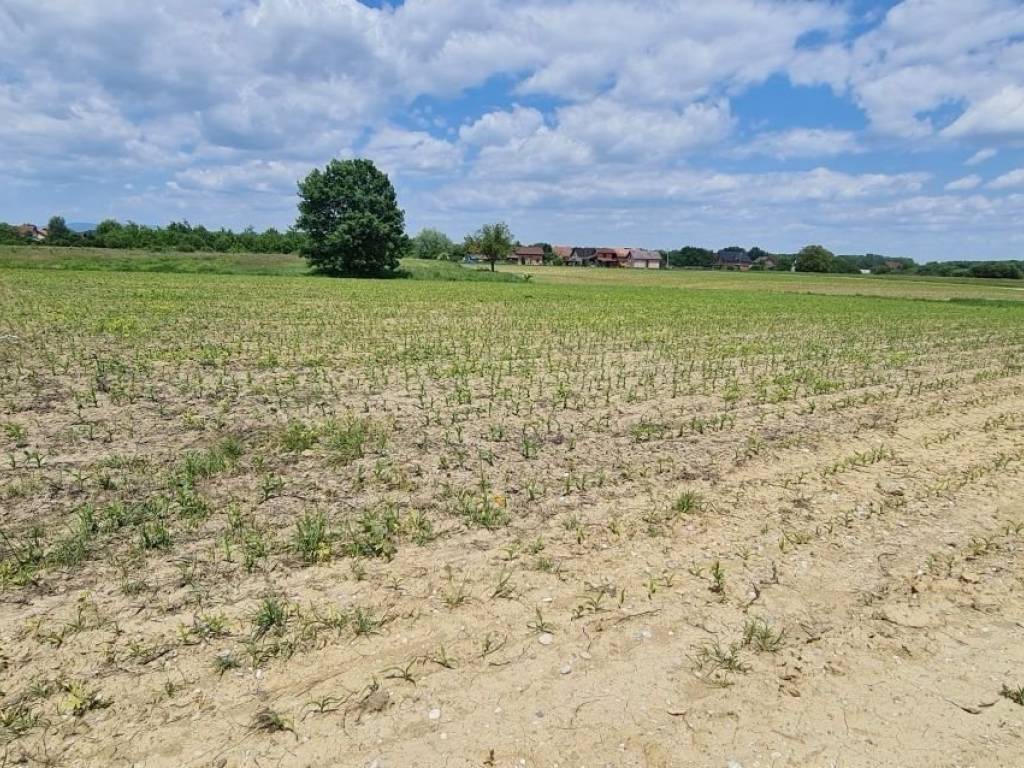 Plot for construction, Sale, Velika Gorica - Okolica, Kuče