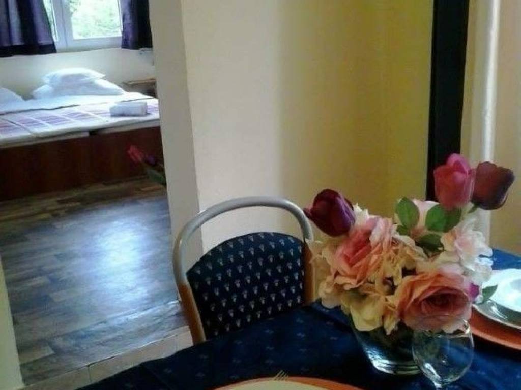 House with apartments, Sale, Obrovac, Gornji Karin