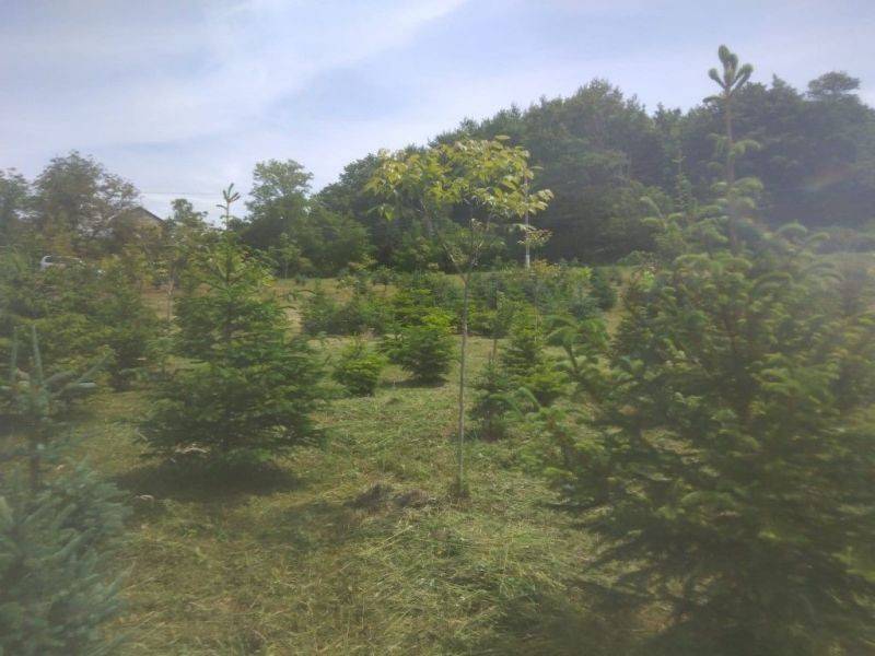 Plot for construction, Sale, Kravarsko, Podvornica