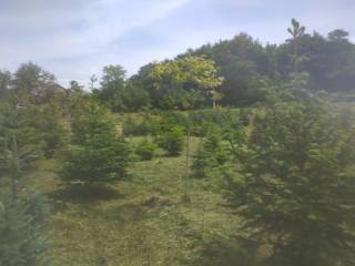 Plot for construction, Sale, Kravarsko, Podvornica