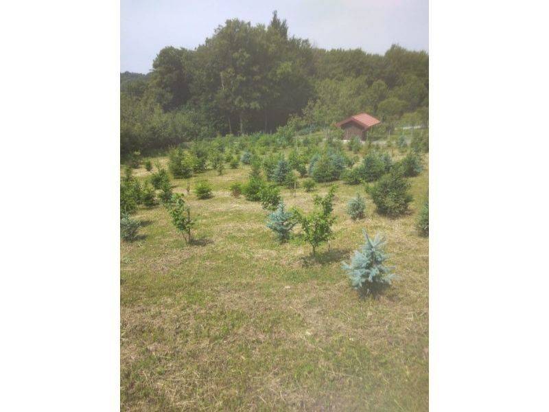 Plot for construction, Sale, Kravarsko, Podvornica