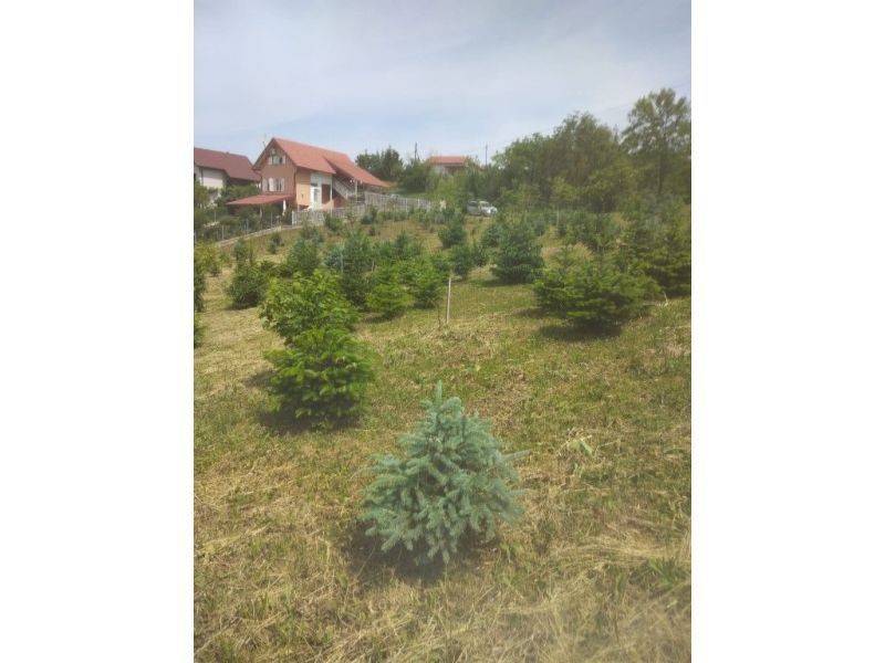 Plot for construction, Sale, Kravarsko, Podvornica