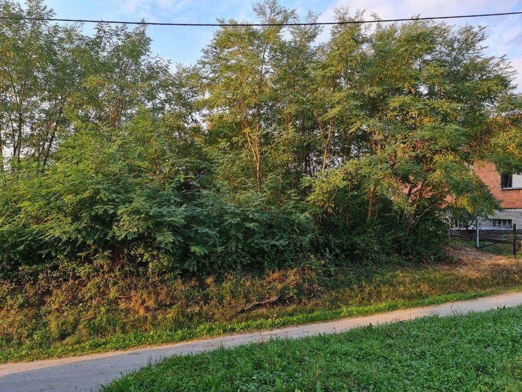 Plot for residential construction, Sale, Sveti Ivan Zelina, Sveta Helena