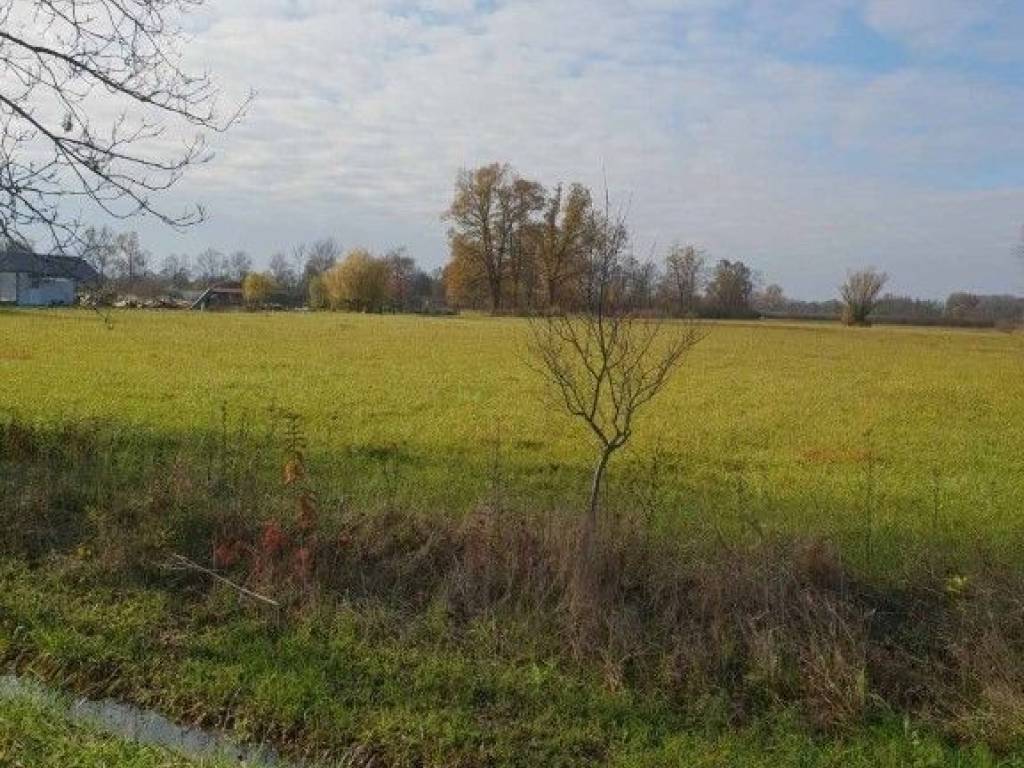 Agricultural plot, Sale, Orle, Obed