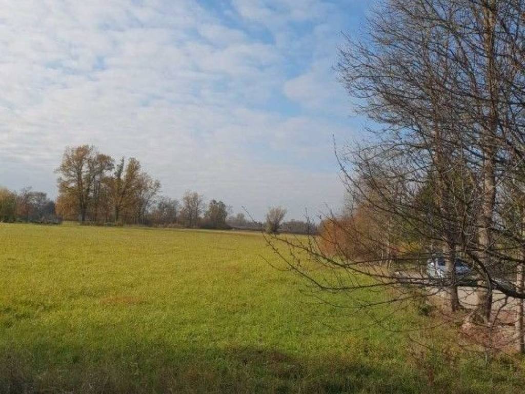 Agricultural plot, Sale, Orle, Obed