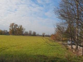 Agricultural plot, Sale, Orle, Obed